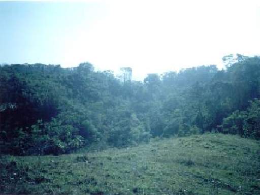 Vista1.jpg - 21342 Bytes