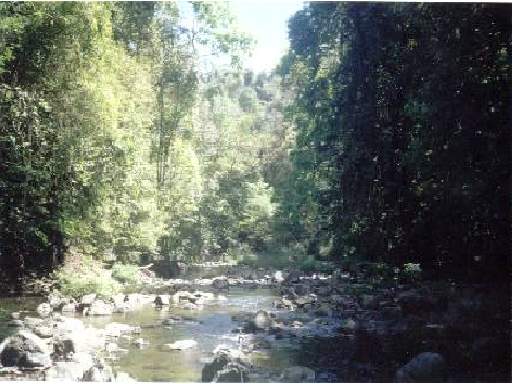 Vista3.jpg - 21342 Bytes