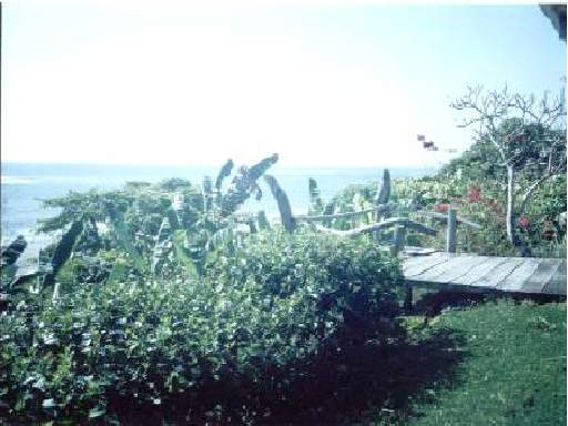 Vista4.jpg - 32719 Bytes